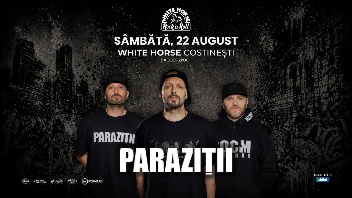 Costinesti: Concert Parazitii