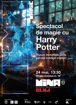 Spectacol de magie cu Harry Potter
