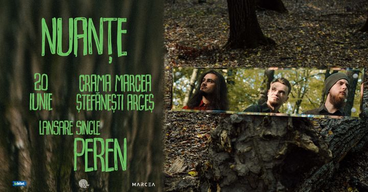 Stefanesti: Concert Nuante •