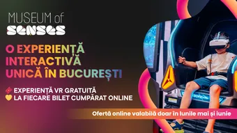 Museum of Senses