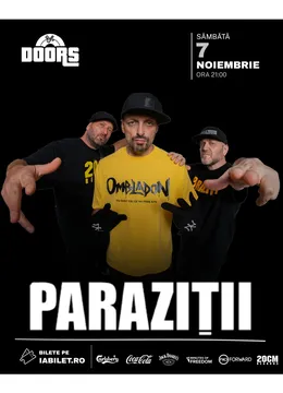 Costinesti: Concert Parazitii