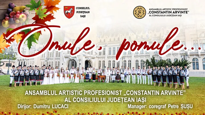 Iasi: Omule, pomule