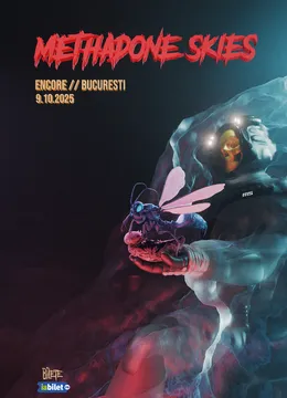 Concert Methadone Skies
