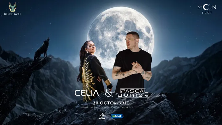 Oradea: Moon Fest