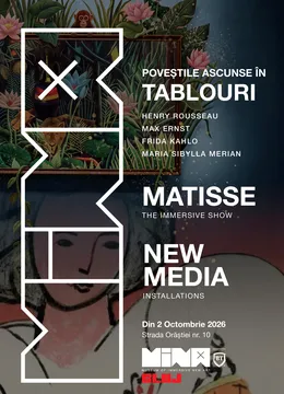 Povești ascunse în tablouri + Matisse & NMI