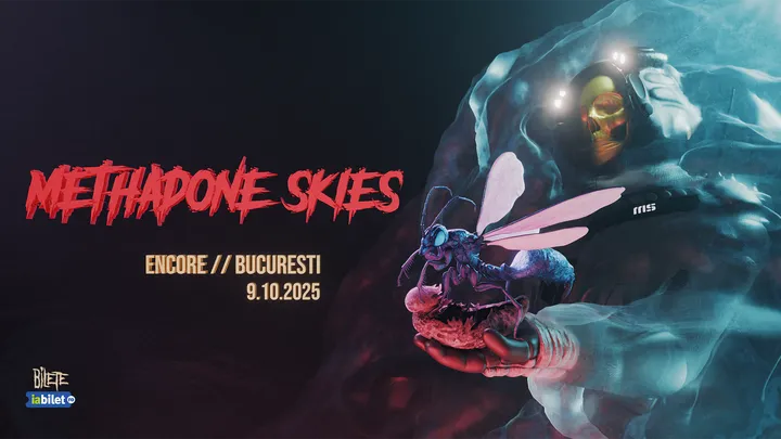 Concert Methadone Skies