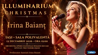 Iași: Illuminarium Christmas by Irina Baianț