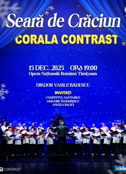 Timisoara: Seara de Craciun