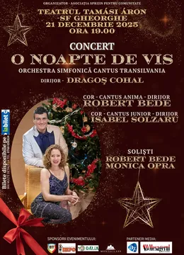 Sfantu Gheorghe: O noapte de vis