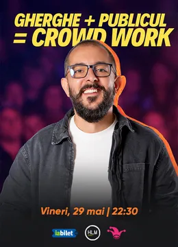 The Fool: Gherghe + Publicul = Crowdwork