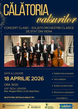 Baia Mare: Calatoria Valsurilor