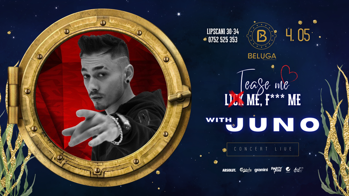 TLF* Special Thursday dive w. Juno în Beluga