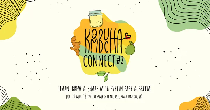 Cluj-Napoca: Kombucha Connect #2