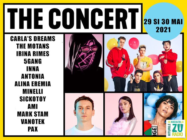 The Concert- Bilet de o zi