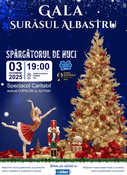 Iași: Gala "Surâsul Albastru"