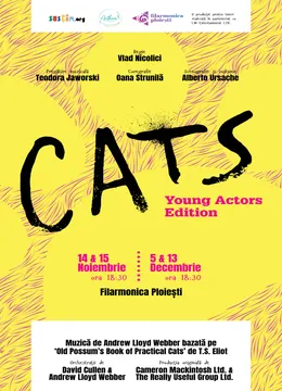 Ploiesti: Cats - Young Actors Edition
