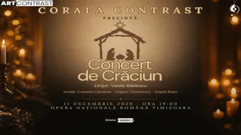 Timisoara: Seara de Craciun