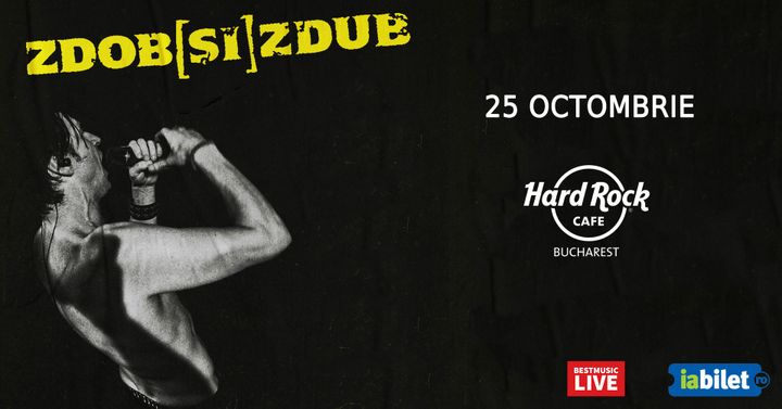 Concert Zdob si Zdub