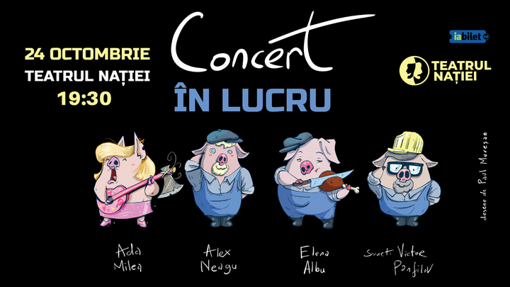 Ploiesti: Concert Ada Milea ~ În lucru