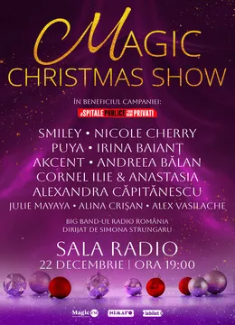 Magic Christmas Show