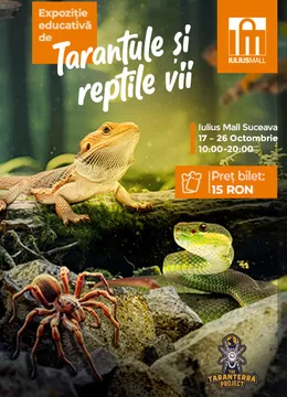 Suceava: Expoziție Educativă de Tarantule și Reptile Vii