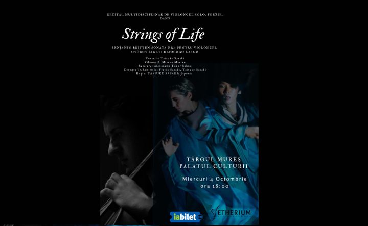 Târgul Mureș:  Strings of life