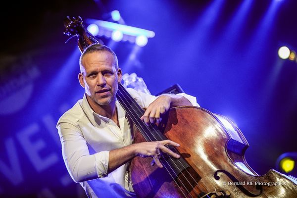 Avishai Cohen Trio "Arvoles"