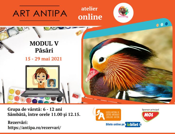 Art Antipa online