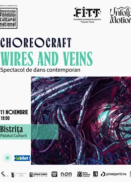 Bistrita: Wires and Veins - Spectacol de dans contemporan (Choreocraft)