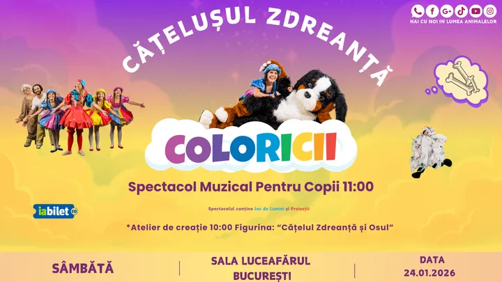 Jocurile Cățelușului Zdreanță – episodul 2 din seria Coloricii