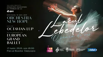 Timisoara: Lacul Lebedelor