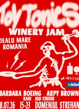 Dealu Mare: Winehouse Toy Tonics