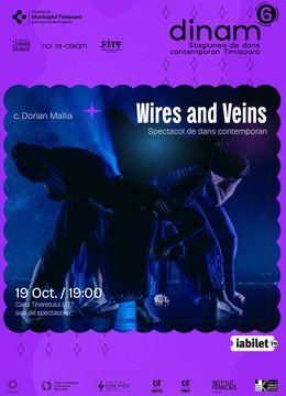 Timisoara: Dans contemporan: Wires and Veins