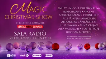 Magic Christmas Show