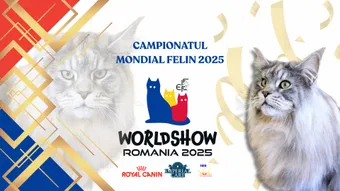 Campionatul Mondial de Frumusețe Felină 2025