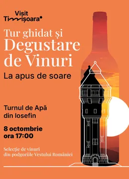 Timisoara: Tur ghidat si degustare de vinuri la apus de soare