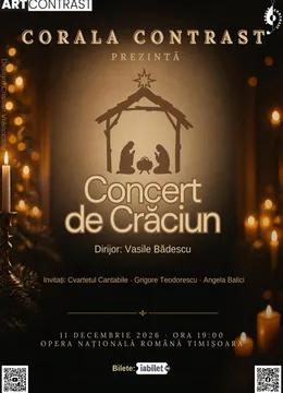 Timisoara: Seara de Craciun