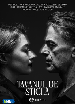 Tavanul de sticla