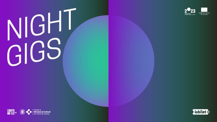 Timisoara: Night Gigs