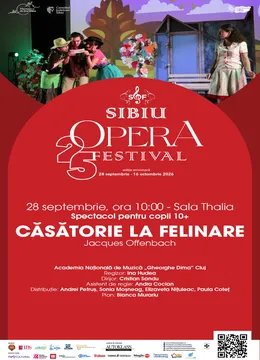 Sibiu: Căsătorie la felinare