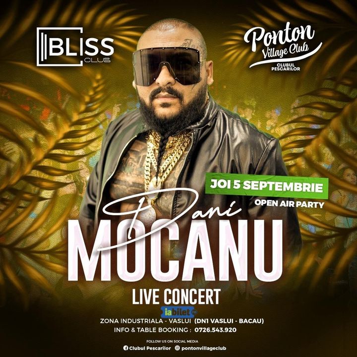 Vaslui: Dani Mocanu - Open Air