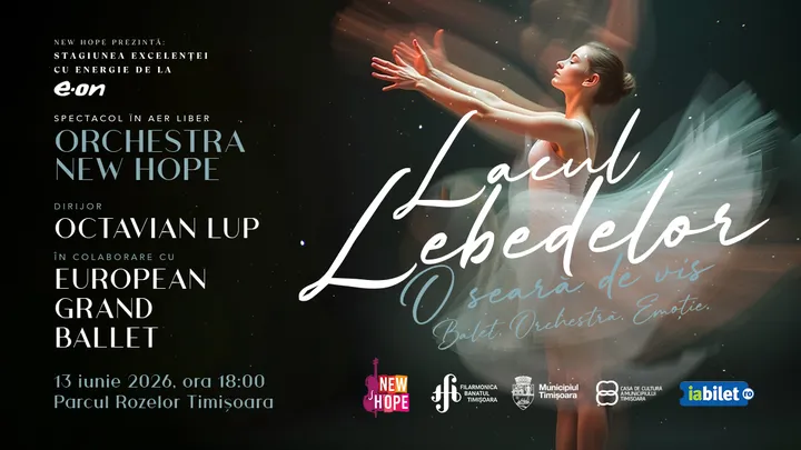 Timisoara: Lacul Lebedelor