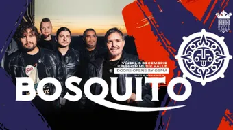 Brasov: Concert Bosquito