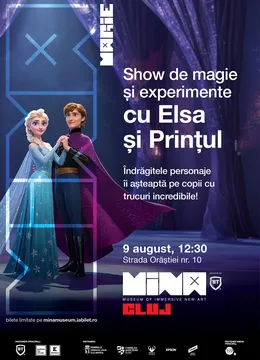 Show de Magie și Experimente cu Elsa și Prințul