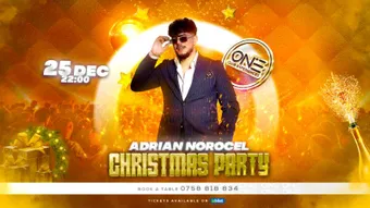 Adrian Norocel - Christmas Party