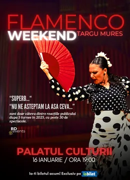 Targu Mures: Flamenco Weekend