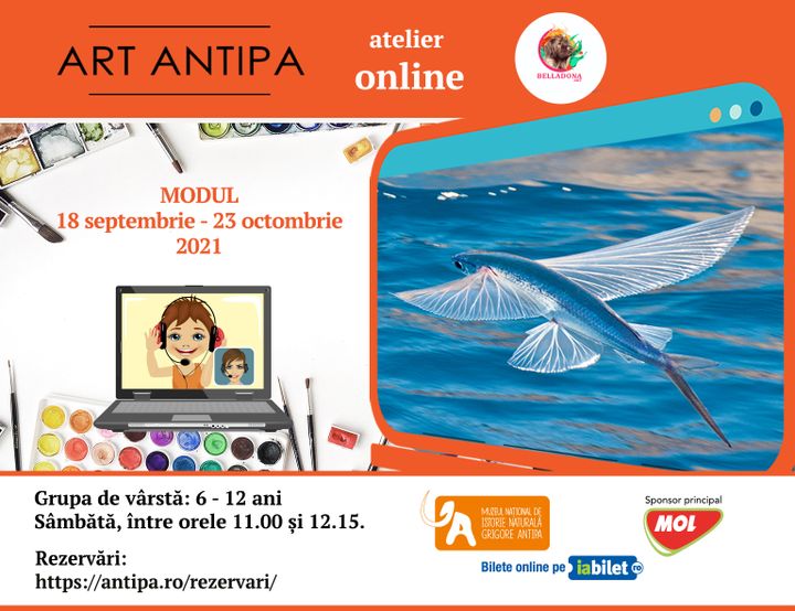 Art Antipa online