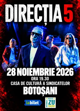 Botosani: Concert Direcția 5 - „100% Direcția 5”