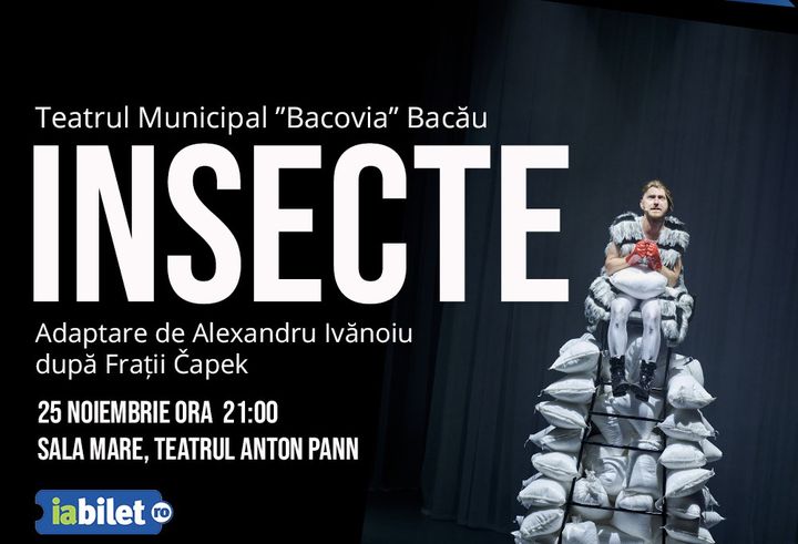 Ramnicu Valcea: Insecte