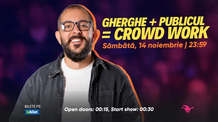 The Fool: Gherghe + Publicul = Crowdwork